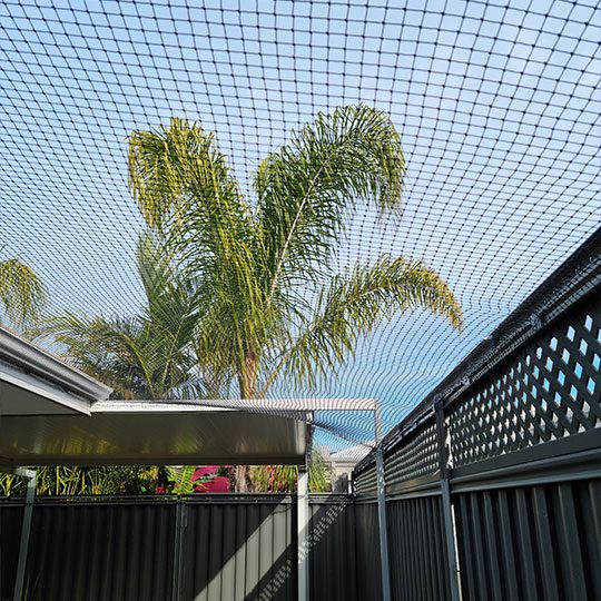 cat-netting-enclosure-on-side-of-house-in-perth