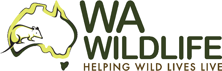 wa wildlife helping wild lives live