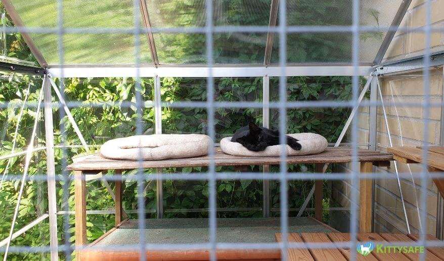cat enclosures idea in perth