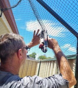 is it cheaper to buy or build a catio