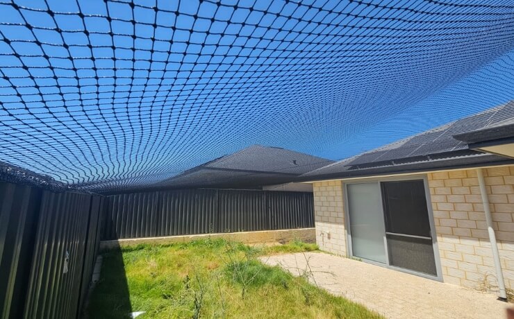 roles of cat netting in wildlife conservation